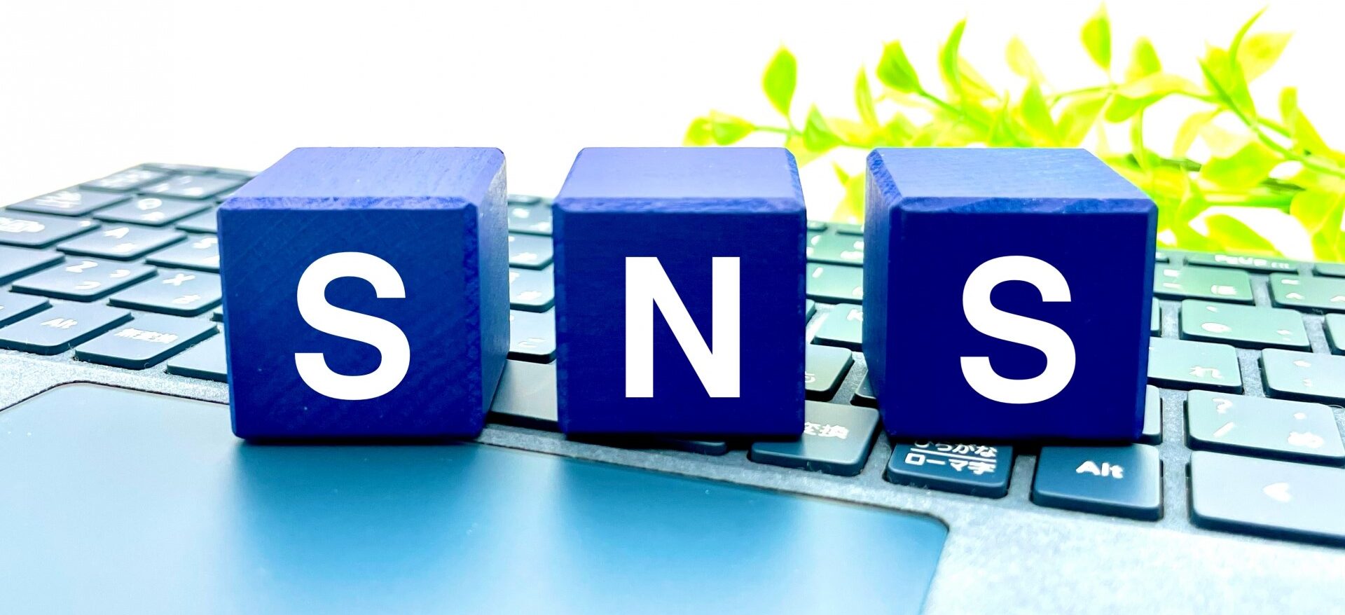 SNSをビジネス活用するための本質的な運用方法